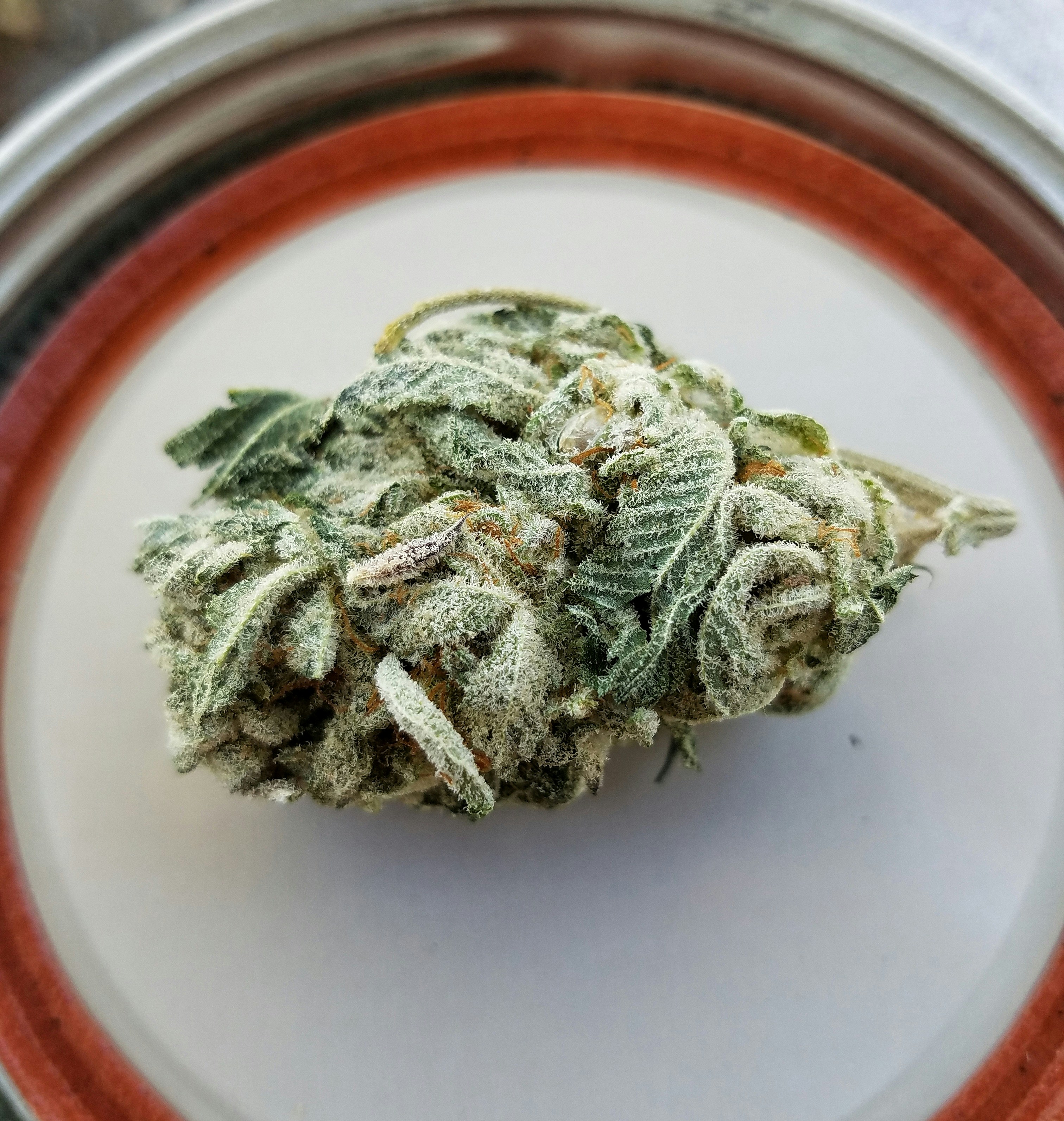 Закон о марихуане в Японии — ответственность за хранение THC